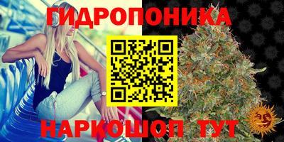 ГАЛЛЮЦИНОГЕННЫЕ ГРИБЫ Ликино-Дулёво