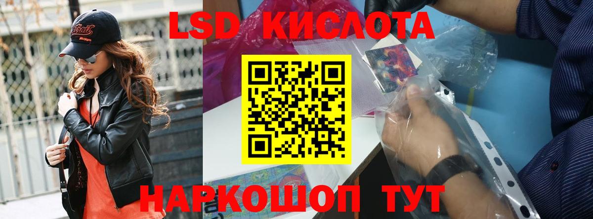 Меф Губкин